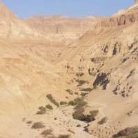 Foto de Ein Gedi