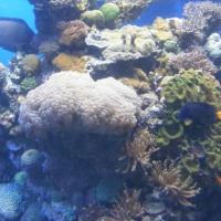 Foto de Eilat