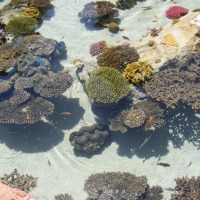 Foto de Eilat