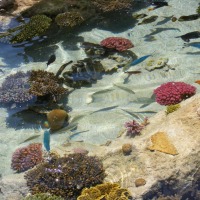 Foto de Eilat