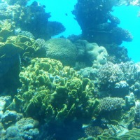 Foto de Eilat