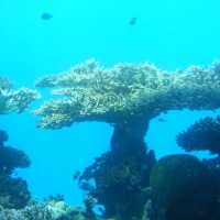 Foto de Eilat