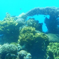 Foto de Eilat