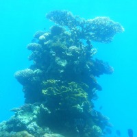 Foto de Eilat