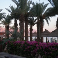 Foto de Eilat