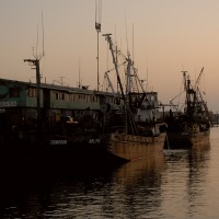 Foto de Arica