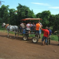 Foto de Cardenas