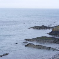 Foto de Bray