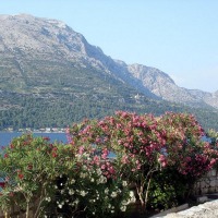 Foto de Korcula