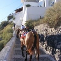 Foto de Fira (Thira)