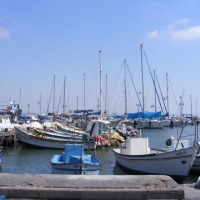 Foto de Acre
