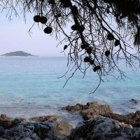Foto de Korcula