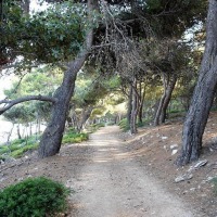 Foto de Korcula