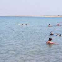 Foto de Ein Gedi