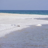 Foto de Ein Gedi
