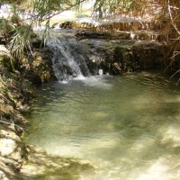 Foto de Ein Gedi