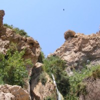 Foto de Ein Gedi