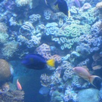 Foto de Eilat