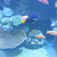 Foto de Eilat