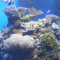 Foto de Eilat