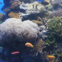 Foto de Eilat