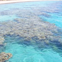 Foto de Eilat