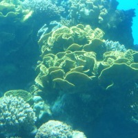 Foto de Eilat