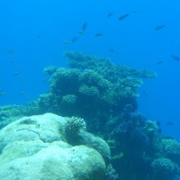Foto de Eilat