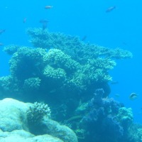 Foto de Eilat