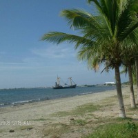 Foto de Progreso