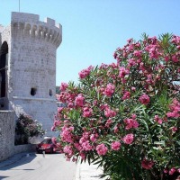 Foto de Korcula