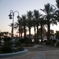 Foto de Eilat