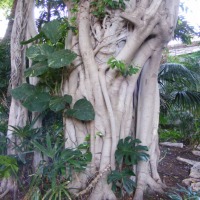 Foto de Ein Gedi