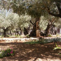 Foto de Jerusalem