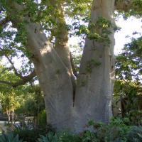 Foto de Ein Gedi