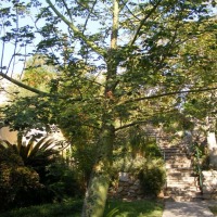 Foto de Ein Gedi