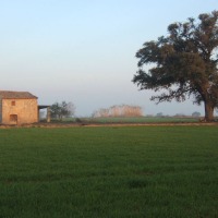 Foto de Castelldans