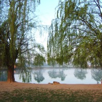 Foto de Juneda