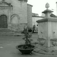 Foto de Cervia de les Garrigues