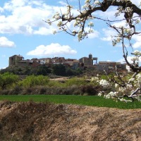 Foto de Puiggros