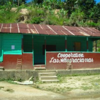 Foto de Manacla