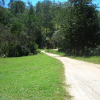 Foto de Manacla