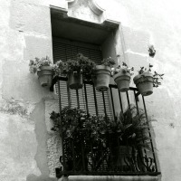 Foto de Llorenç de Vallbona