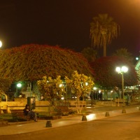 Foto de Arica