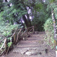 Foto de Sonsonate