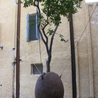 Foto de Jaffa