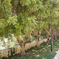 Foto de Jerusalem