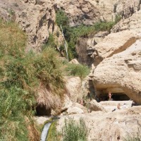Foto de Ein Gedi