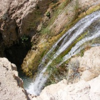 Foto de Ein Gedi