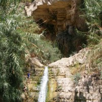 Foto de Ein Gedi